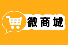商城和微信小程序有哪些不同?