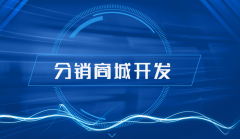 开发分销商城小程序有什么价值？
